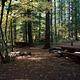 Lower Falls Campground in fall