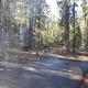 Lodgepole Campground