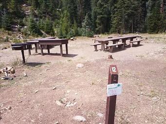 GS1, Loop: SOUTH FORK GROUP