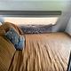 2023 R Pod RP-171 RV rental photo 6
