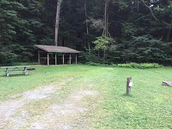 Kelly Pines Campground: Site 6