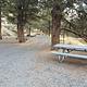 Campsites at Poison Butte Campground