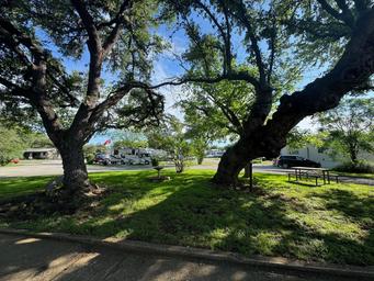 A park with a lot of trees and picnic tables