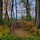 Gleason's Landing stairs