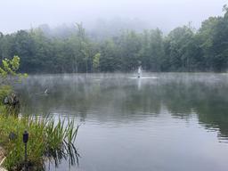 Camp Holly