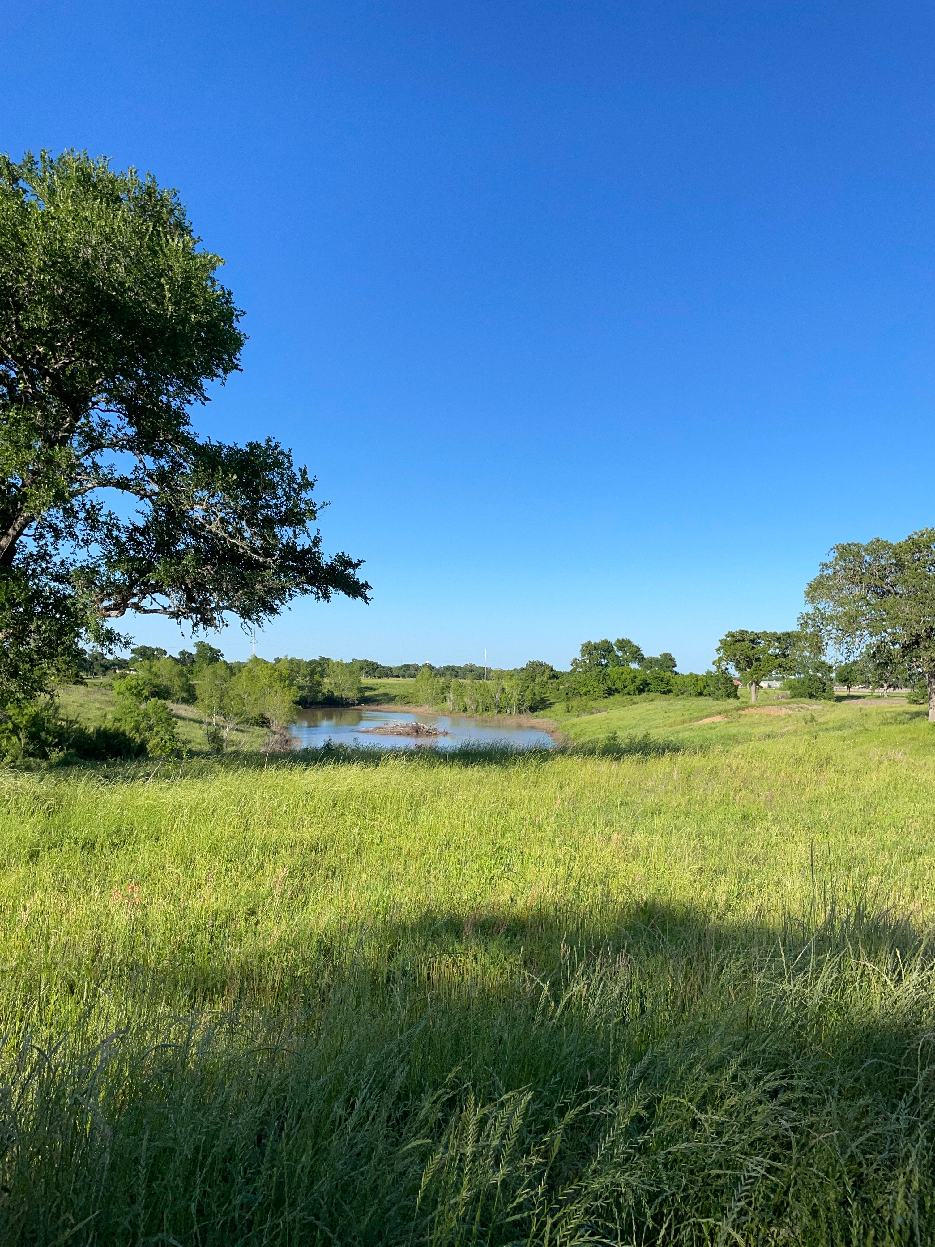 Airport Landing RV Park