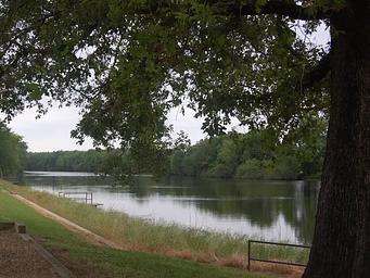 Beard's Lake Park