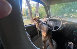 24' Versatile Voyager, Pet-Friendly, Equipped!