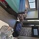 2020 Forest River RV Cherokee Grey Wolf 29TE RV rental photo 11