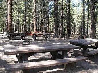 PINE GLEN